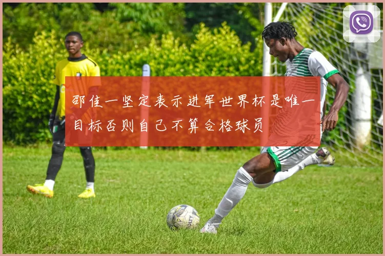 邵佳一坚定表示进军世界杯是唯一目标否则自己不算合格球员